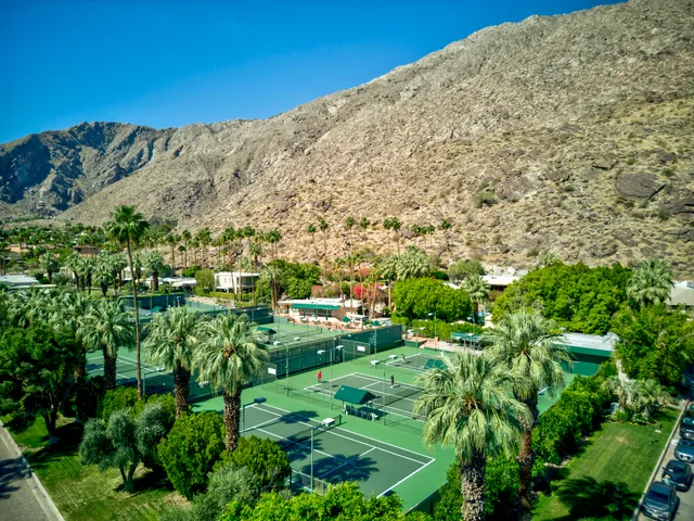 a green field with lots of bushes