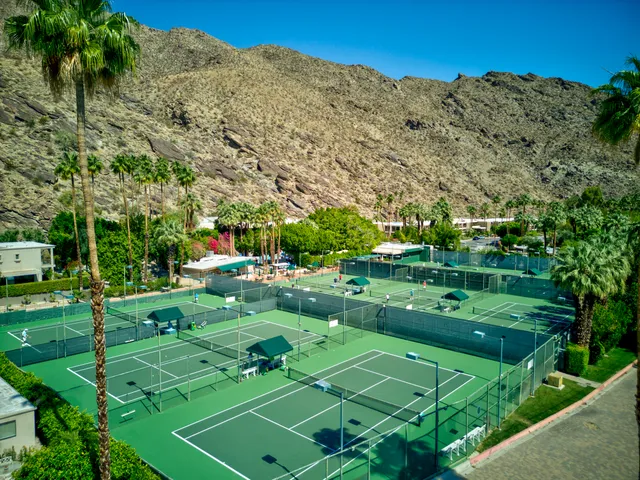 a view of a field with plants and trees