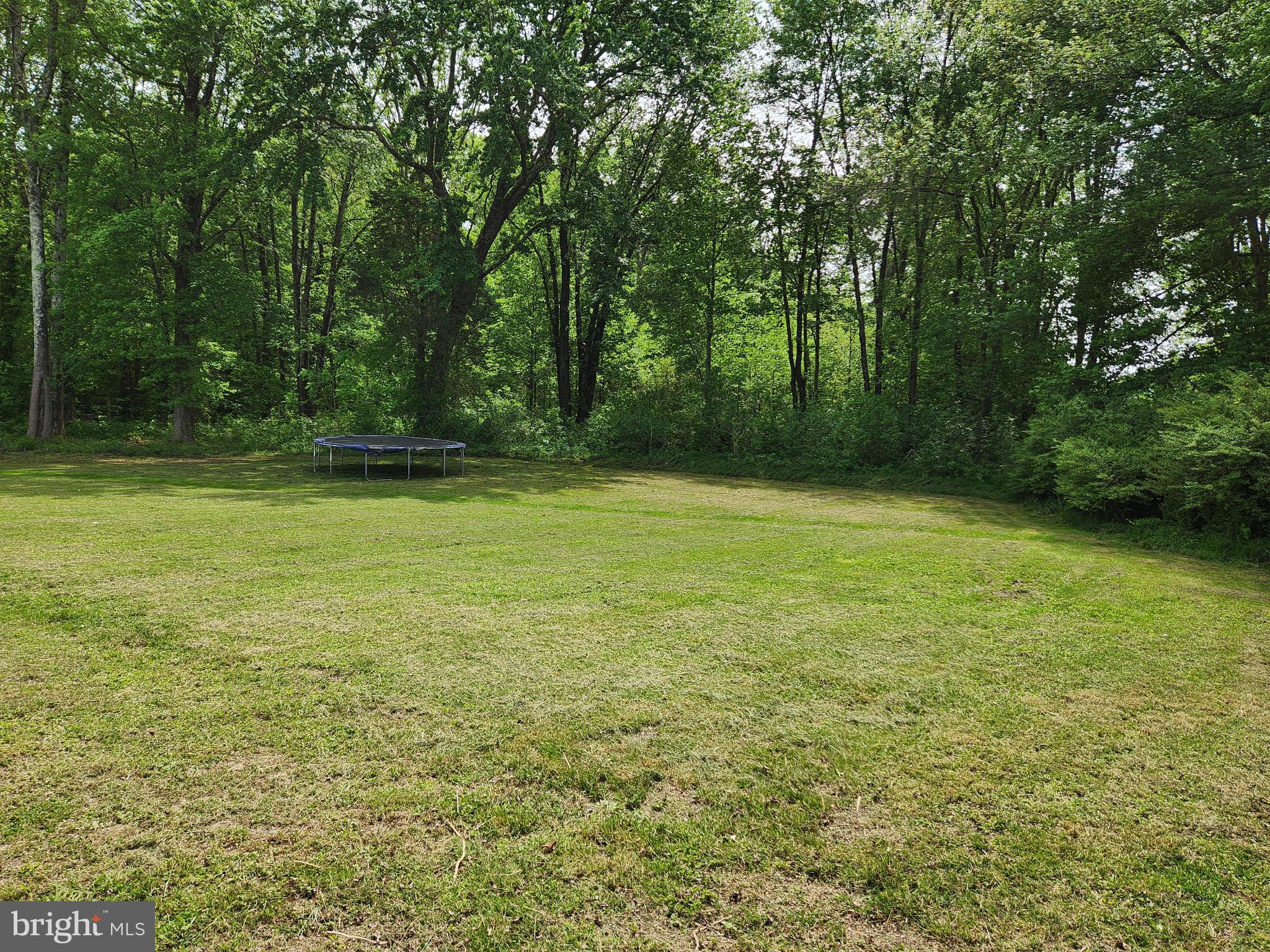 146 Mica Road Mineral, VA 23117 - Photo 23 of 29 Backyard