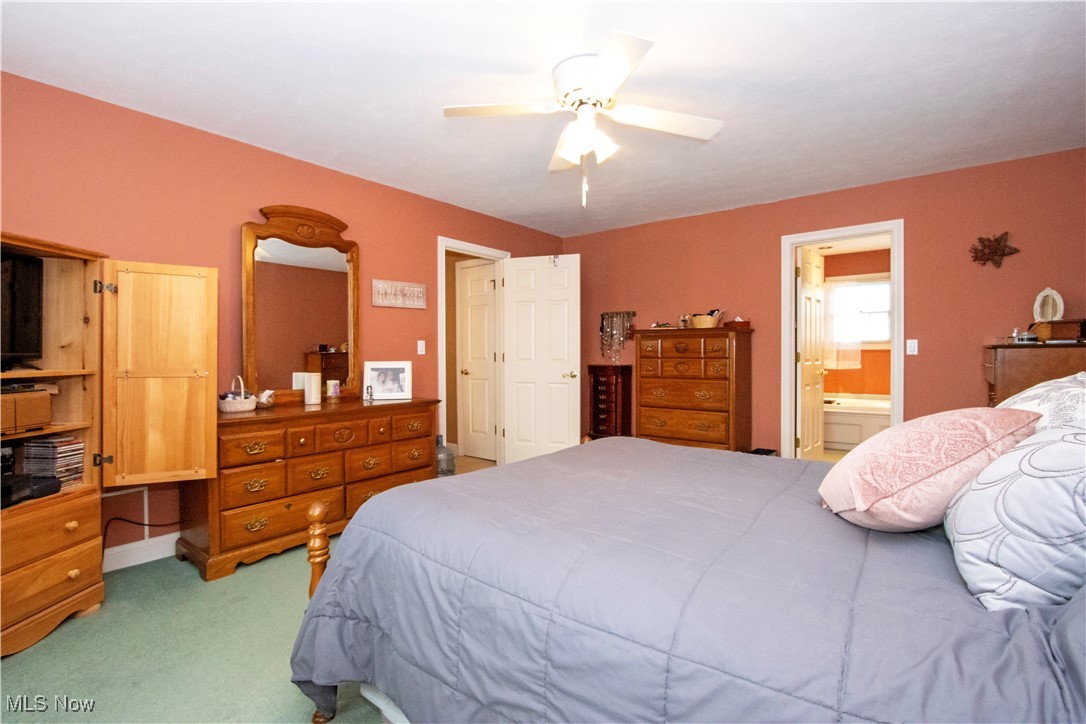 10050 Mennonite Road Rittman, OH 44270 - Photo 20 of 42 Bedroom with carpet, a ceiling fan, and ensuite bathroom
