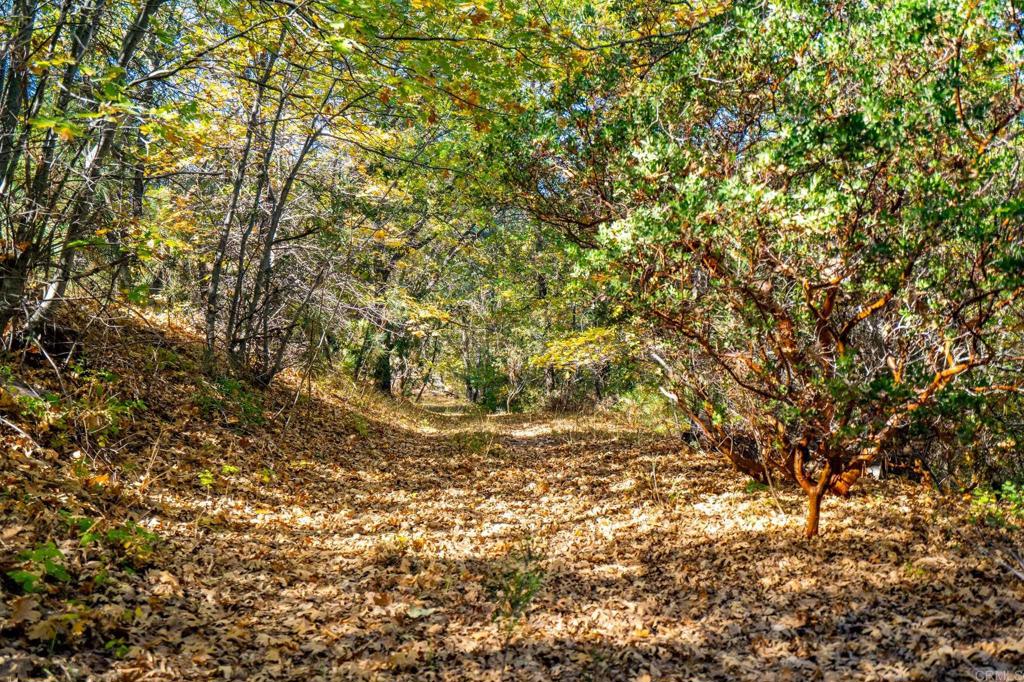 2810 3 Peaks Lane Julian, CA 92036 - Photo 47 of 54 a view of a yard