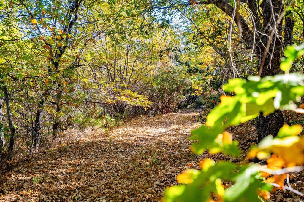 2810 3 Peaks Lane Julian, CA 92036 - Photo 48 of 54 a view of a yard with a tree