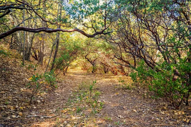 a view of city and mountain