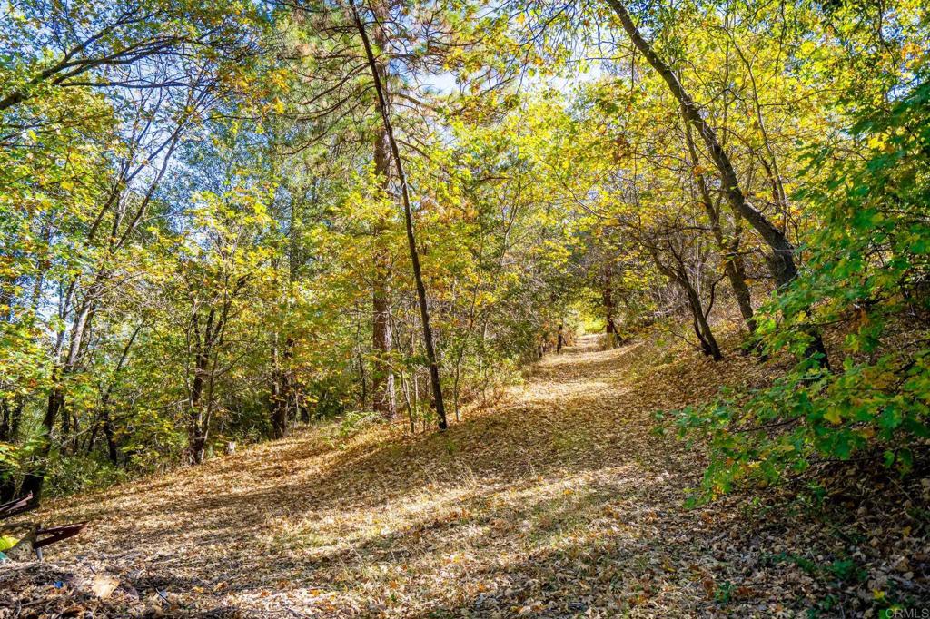 2810 3 Peaks Lane Julian, CA 92036 - Photo 50 of 54