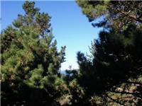 250 Forest Ridge Road, Unit 23 Monterey, CA 93940 - Photo 1 of 21 Gallery Image 1