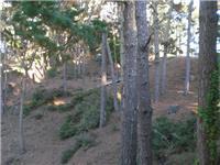 250 Forest Ridge Road, Unit 23 Monterey, CA 93940 - Photo 13 of 21 Gallery Image 13