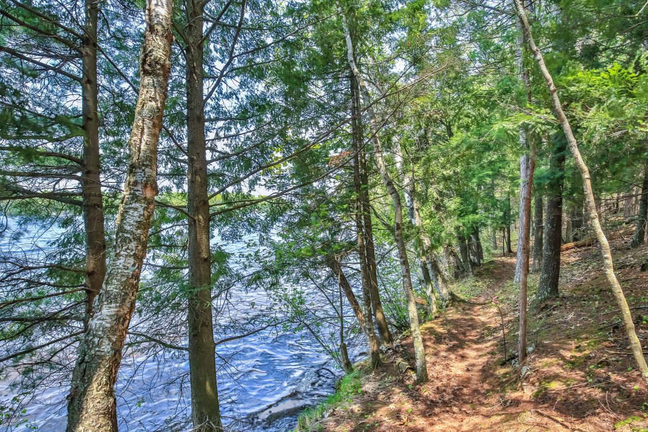 On Squirrel Lake Road, Unit LOT #3 Minocqua, WI 54548 - Photo 5 of 17 Gallery Image 5