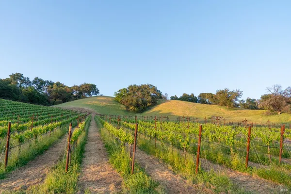 a view of a city with mountains in the background