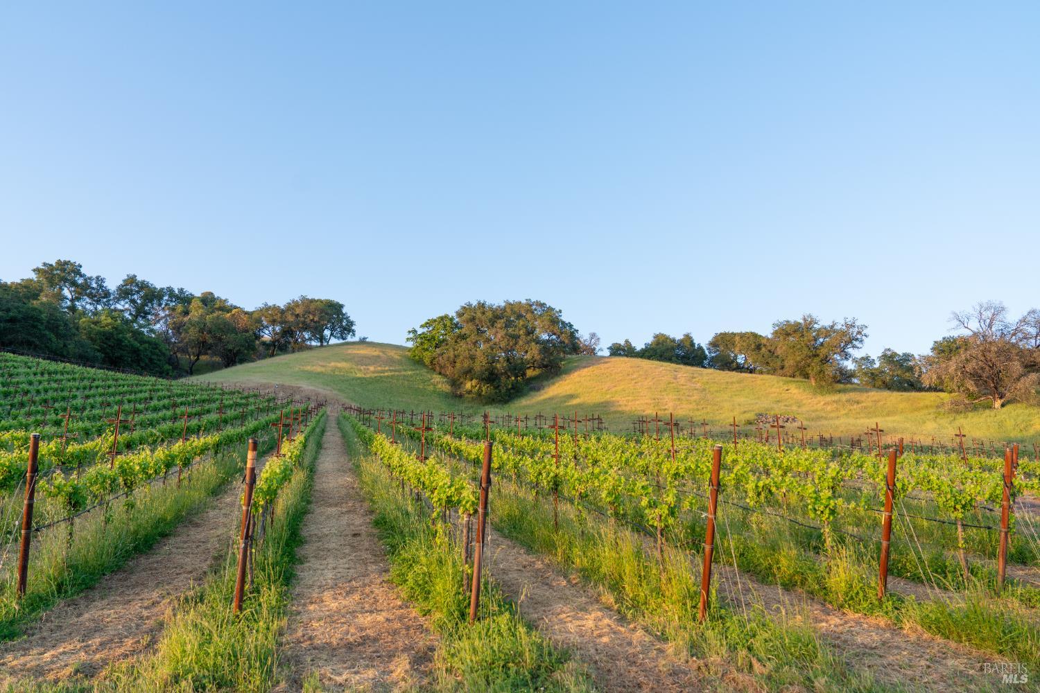 21350 River Road Geyserville, CA 95441 - Photo 11 of 15 a view of lake