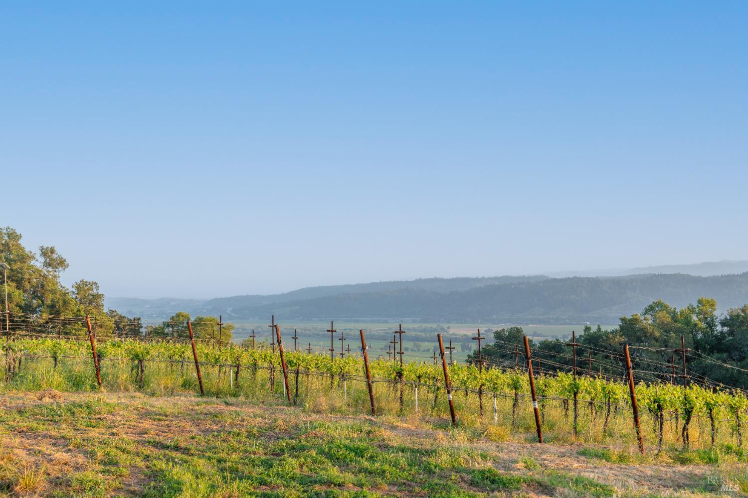 21350 River Road Geyserville, CA 95441 - Photo 12 of 15 a view of an ocean with a city