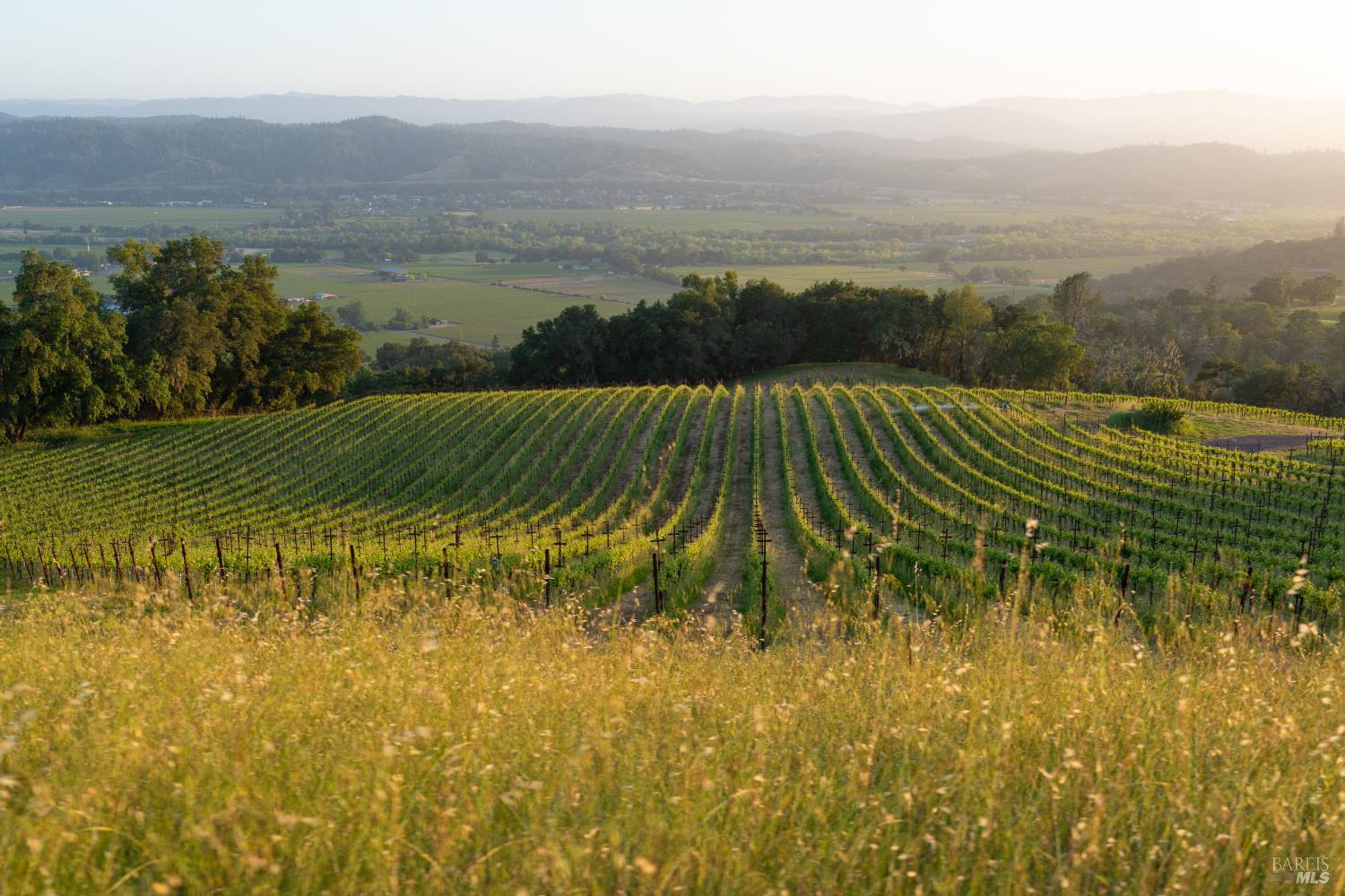 21350 River Road Geyserville, CA 95441 - Photo 2 of 15 a view of a yard with an ocean