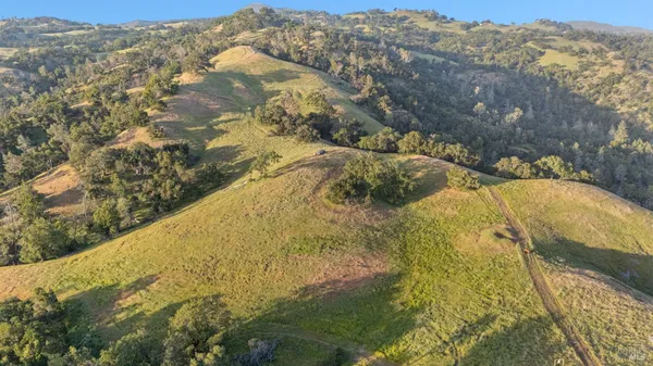 a view of a garden with a small pool