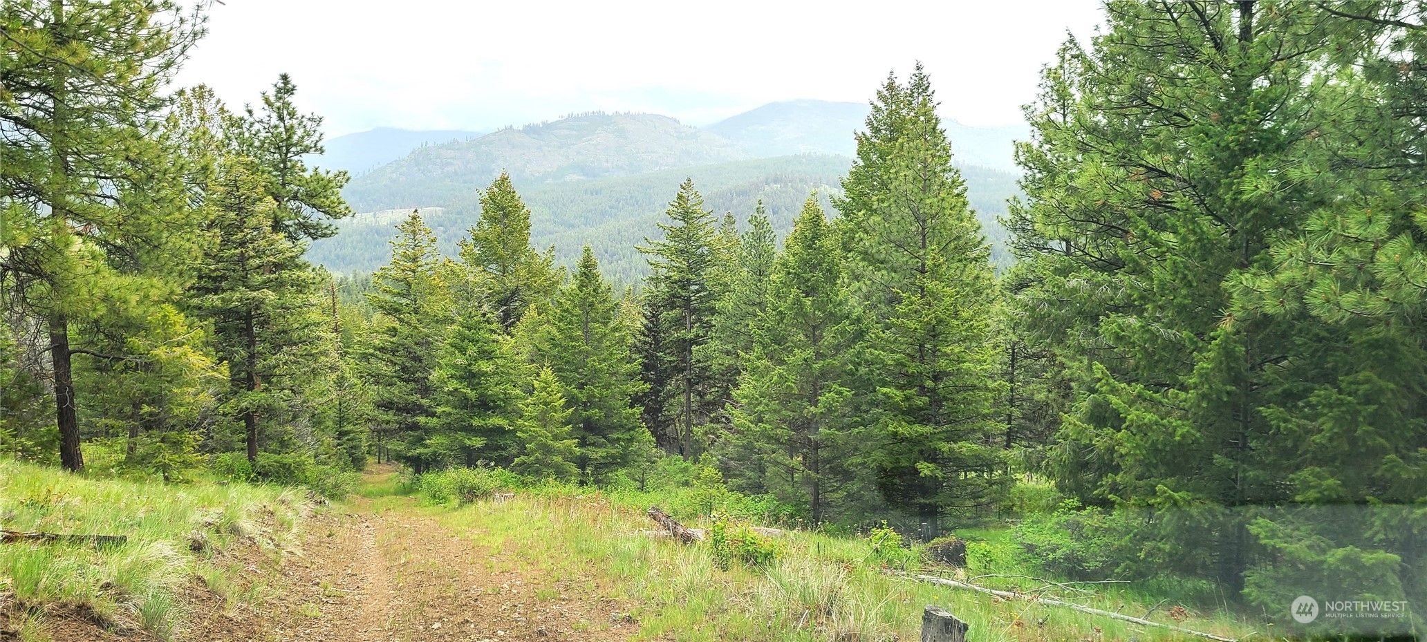 2 Old Kettle Falls Road Republic, WA 99166 - Photo 8 of 8