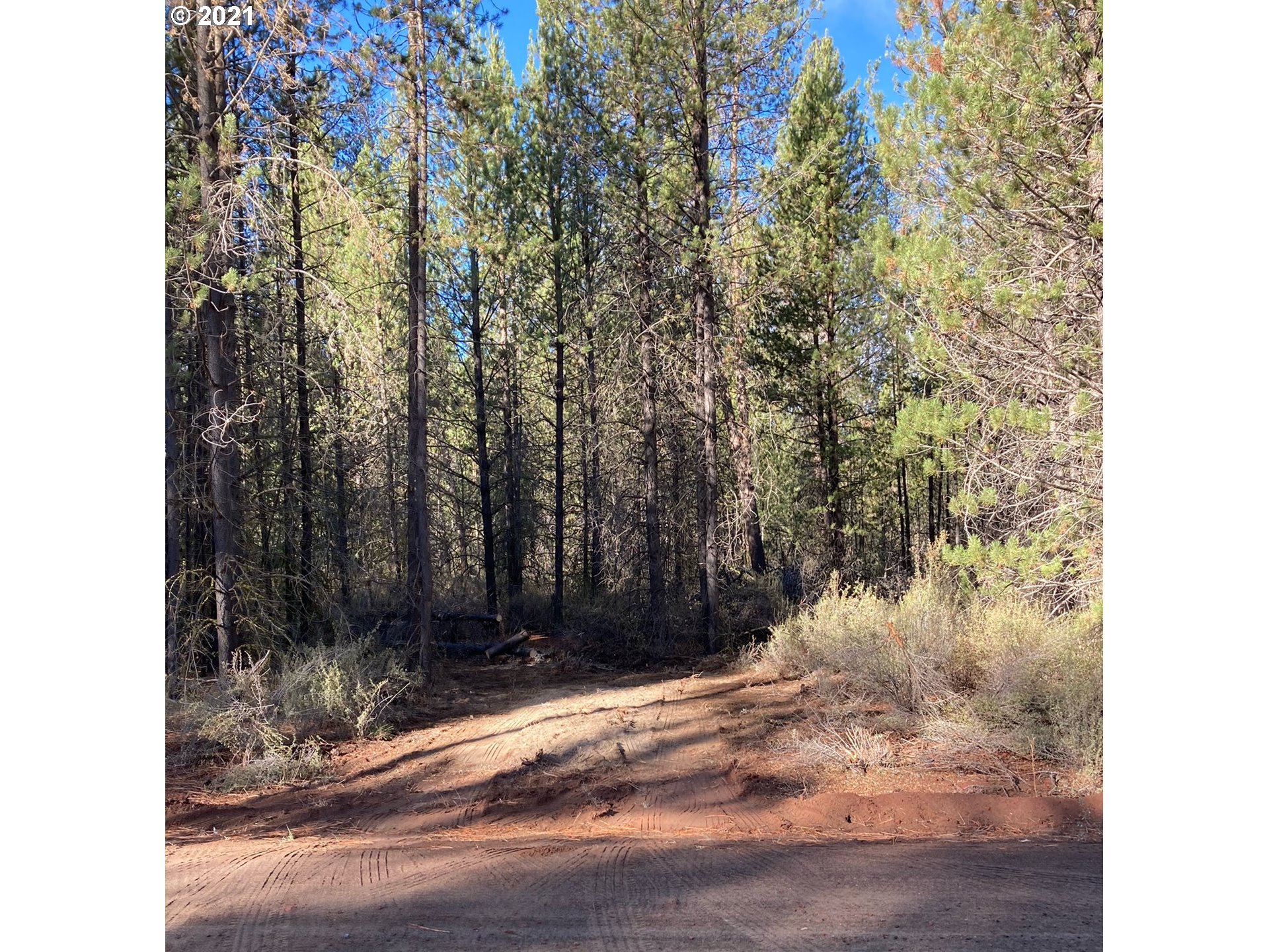 Green Forest Road Chiloquin, OR 97624 - Photo 1 of 6 Gallery Image 1