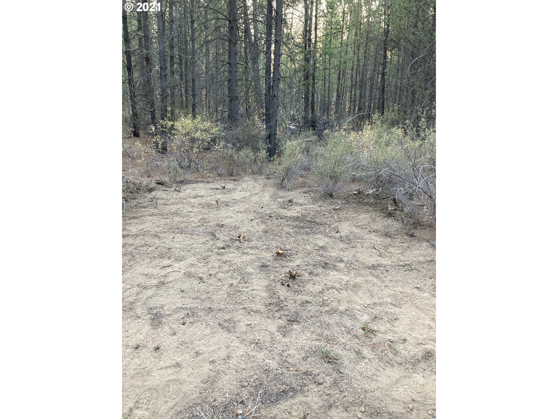 Green Forest Road Chiloquin, OR 97624 - Photo 2 of 6 Gallery Image 2