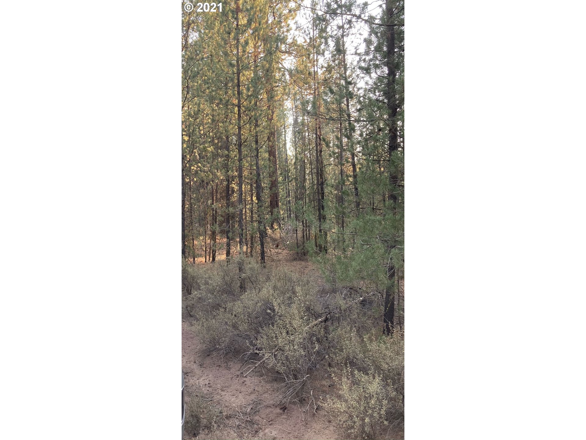 Green Forest Road Chiloquin, OR 97624 - Photo 4 of 6 Gallery Image 4
