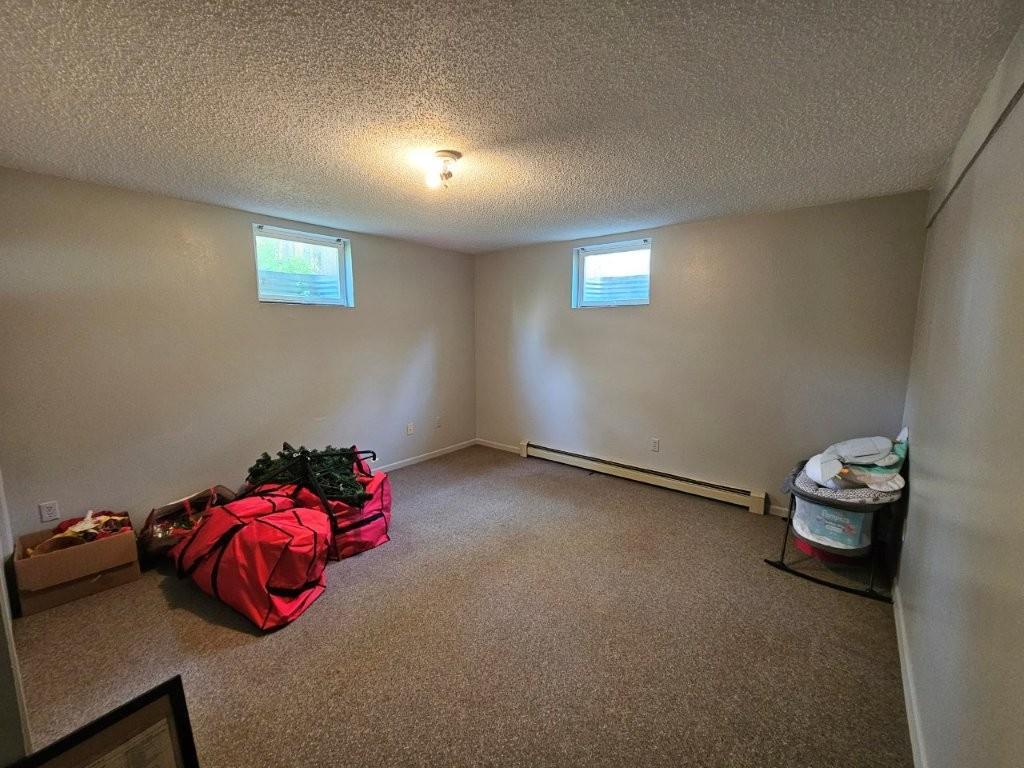 32951 Dahlberg Lake Road Bagley, MN 56621 - Photo 53 of 59