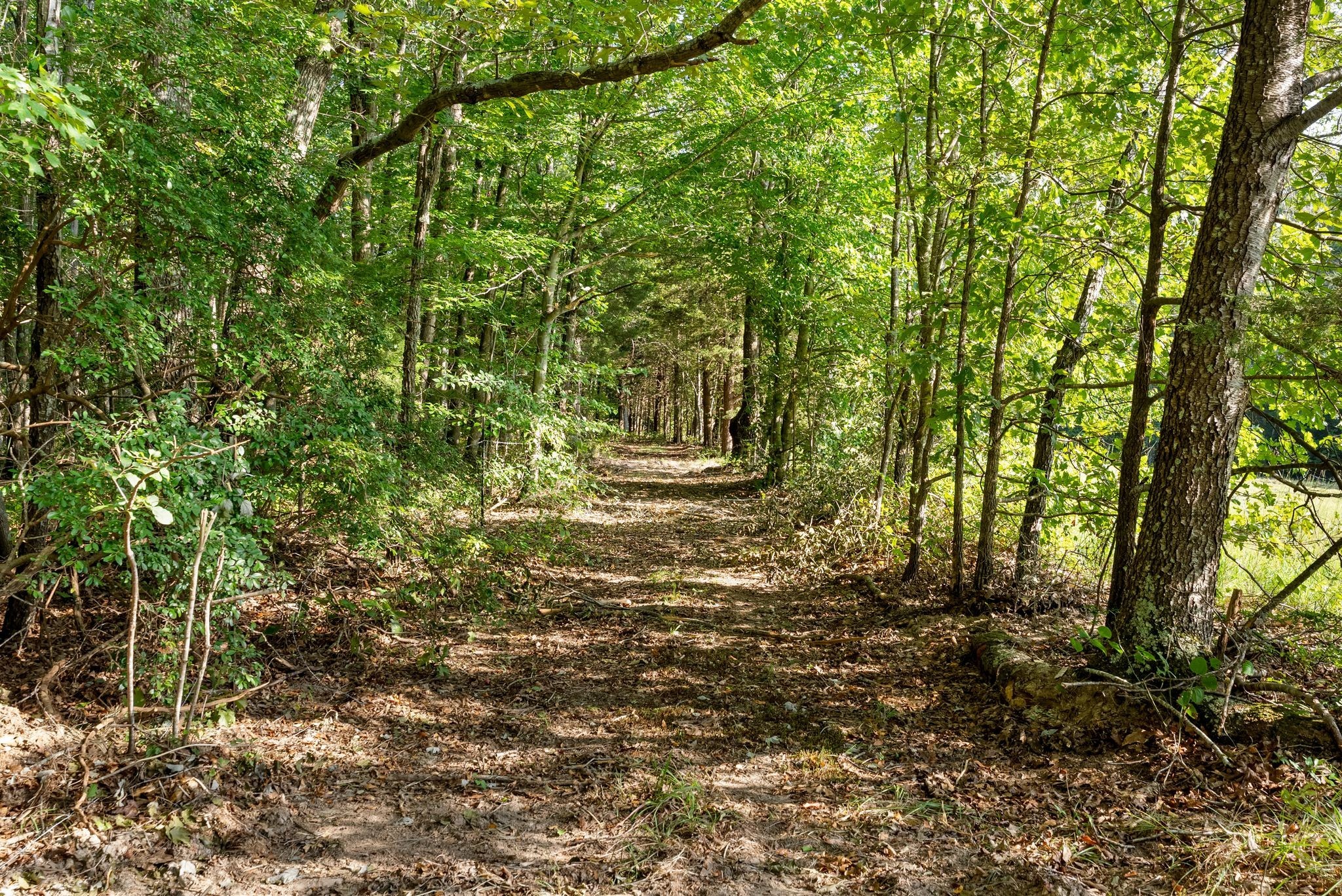 6065 Spencer Road Nunnelly, TN 37137 - Photo 88 of 94 Gallery Image 88