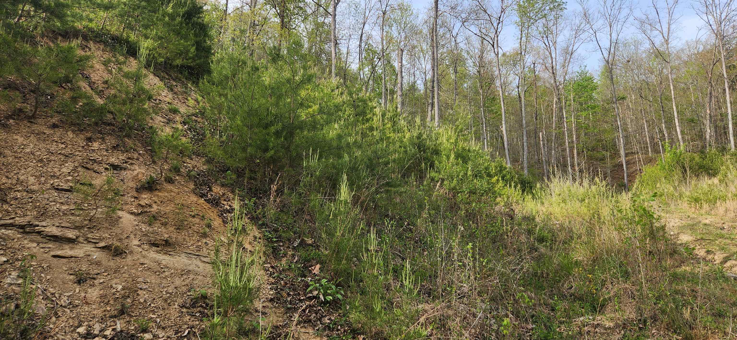 Stinson Creek Road Grayson, KY 41143 - Photo 4 of 14