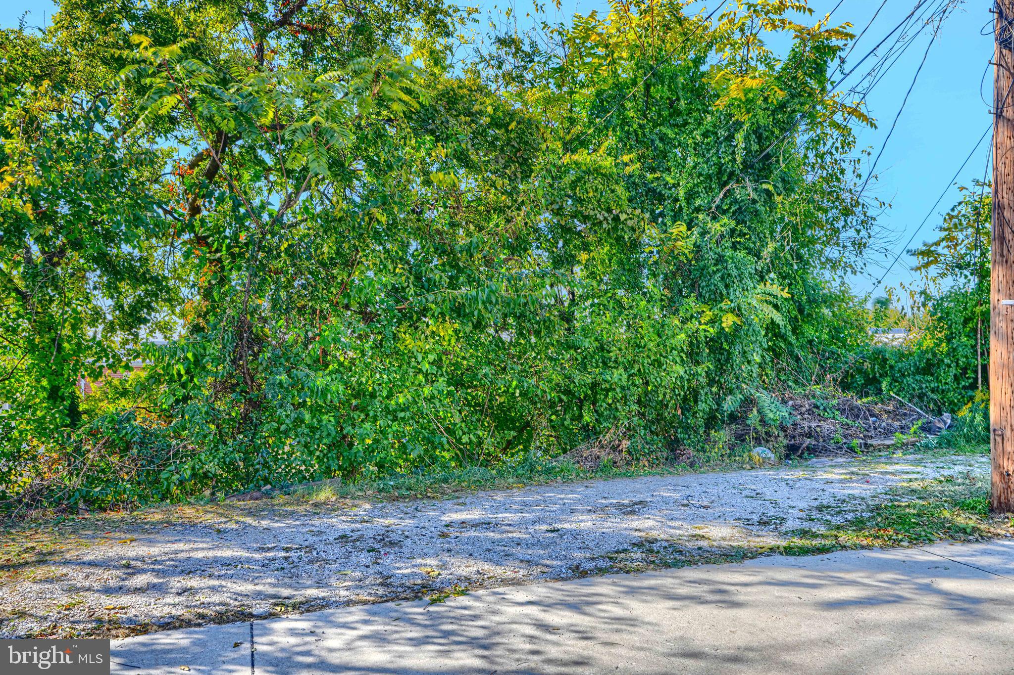 644 48th Street Baltimore, MD 21224 - Photo 37 of 37 a view of a yard with plants and trees