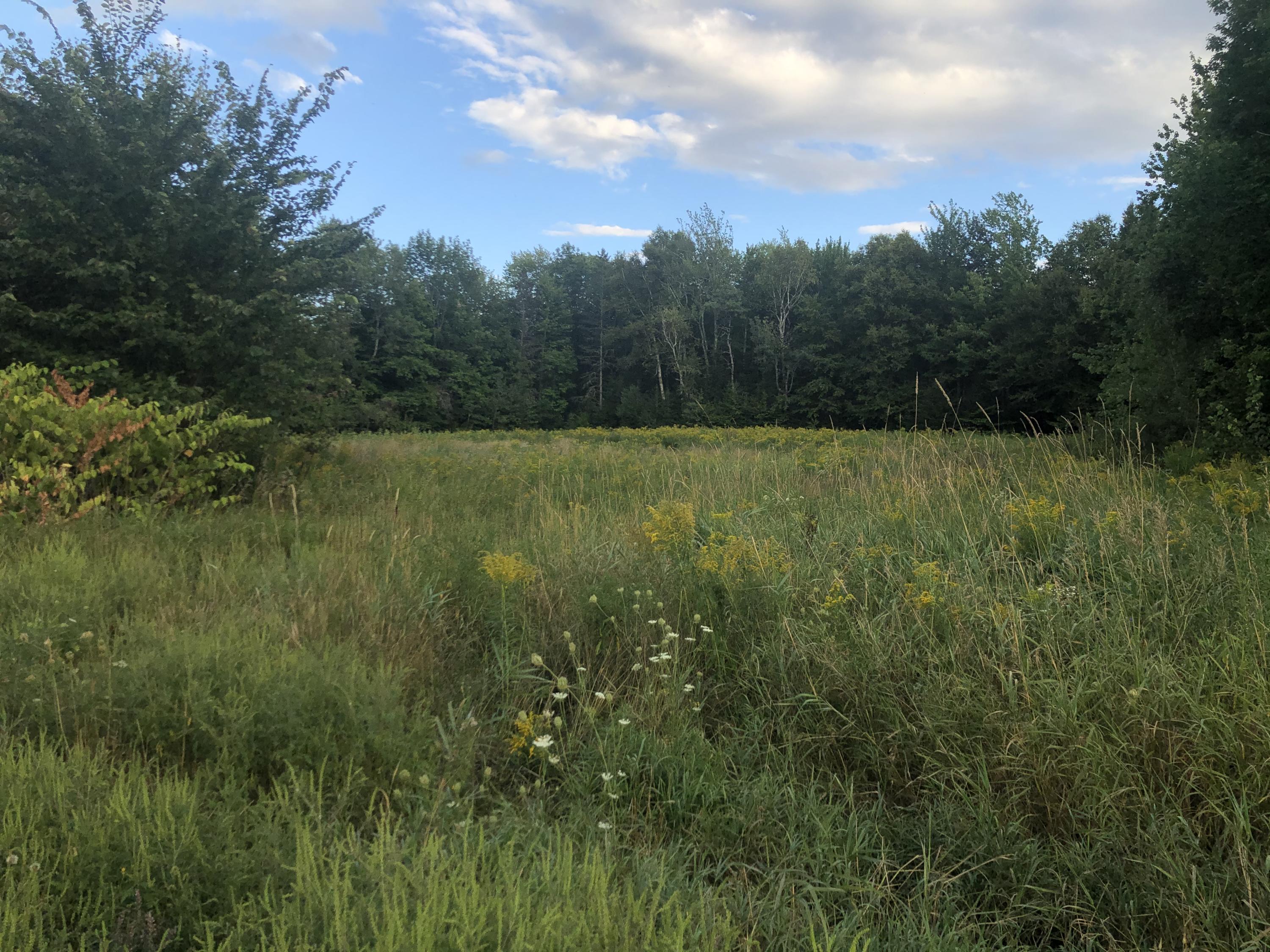 22 Snakeroot Road Pittsfield, ME 04967 - Photo 16 of 19 2020-08-22 17.59.20