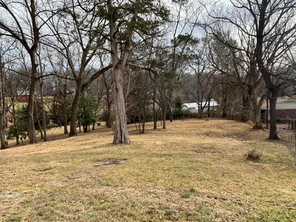 a street view covered with snow