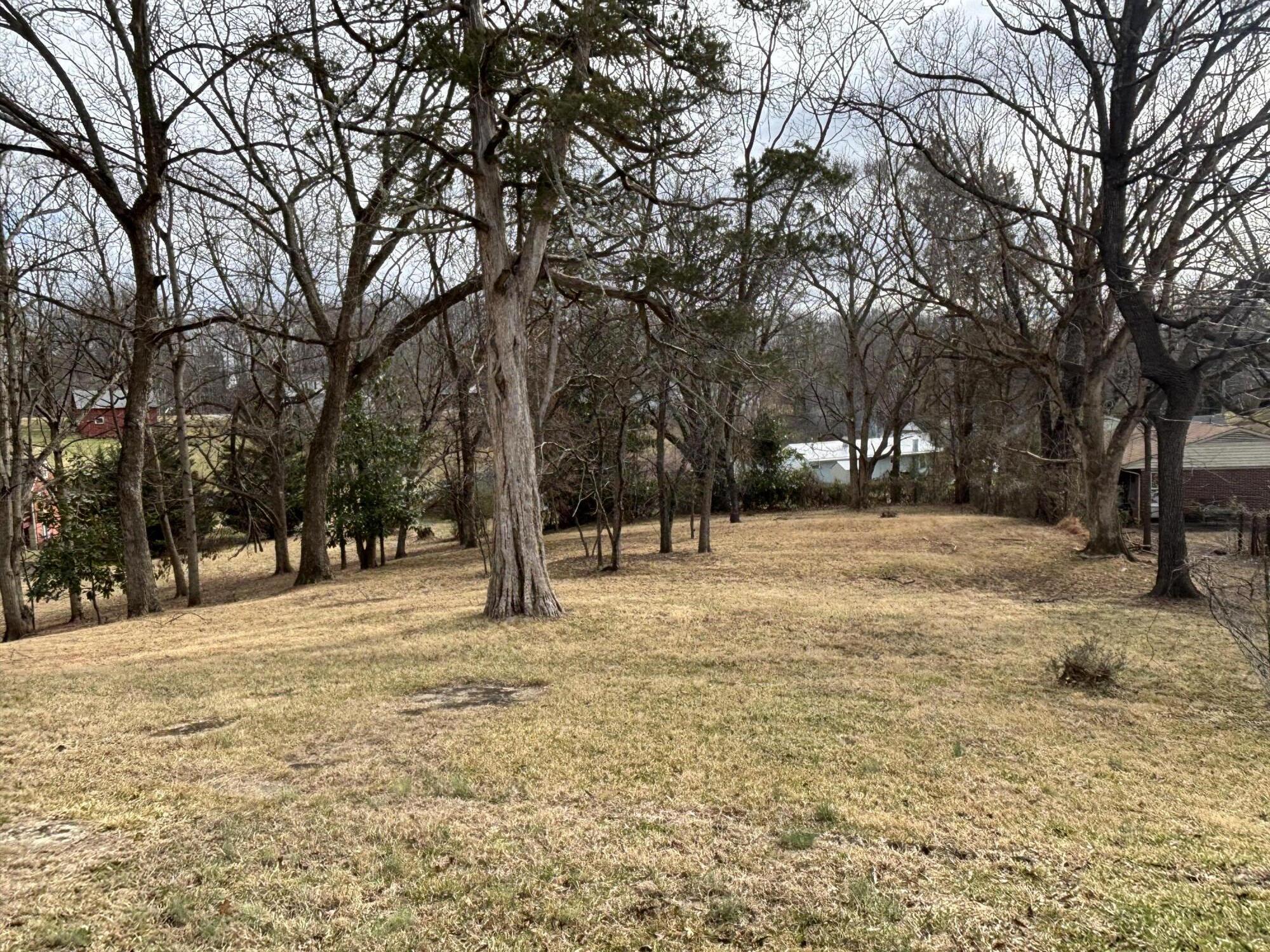 165 West College Street Rocky Mount, VA 24151 - Photo 3 of 24 a street view covered with snow