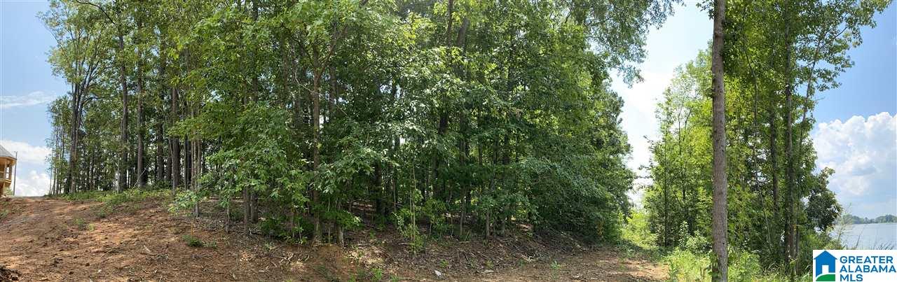 Lot 23 Cove Road, Unit 23 Sylacauga, AL 35151 - Photo 7 of 13