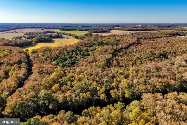 $649,900 | 22240 Good Flocking Way, Millsboro, DE 19966