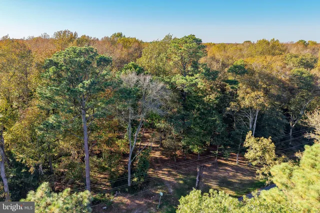 $649,900 | 22240 Good Flocking Way, Millsboro, DE 19966