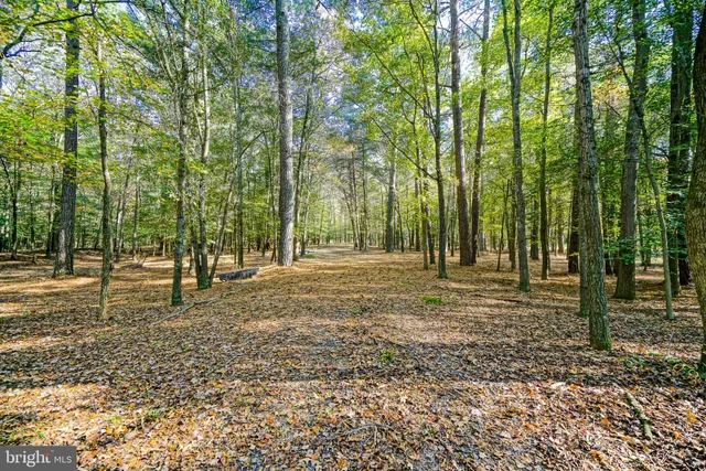 $649,900 | 22240 Good Flocking Way, Millsboro, DE 19966