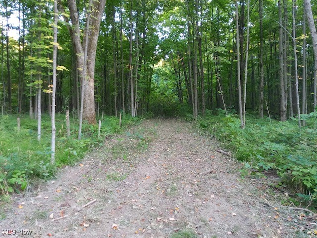 8123 Vandemark Road Lodi, OH 44254 - Photo 3 of 12 View of woods with mature trees