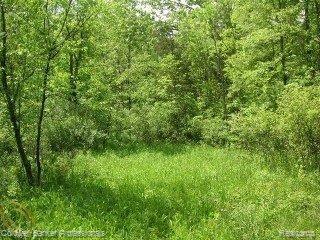 13332 Bemis Road Manchester, MI 48158 - Photo 10 of 25 9