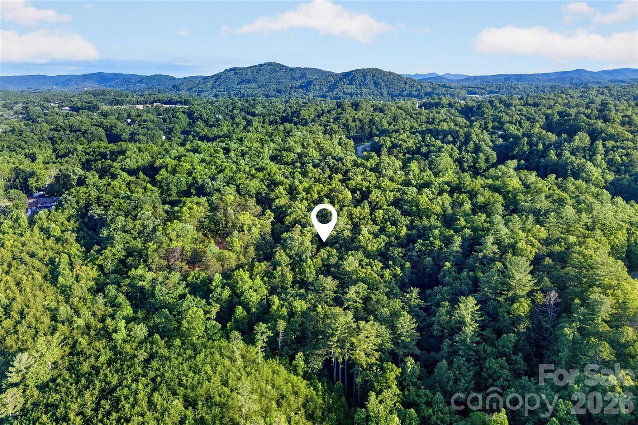 0 Yancey Road Marion, NC 28752 - Photo 12 of 32 a view of a lush green field with lots of bushes