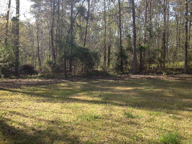 1079 Ashley Hall Road, Unit 102A Macon, GA 31210 - Photo 19 of 21 Additional Photo