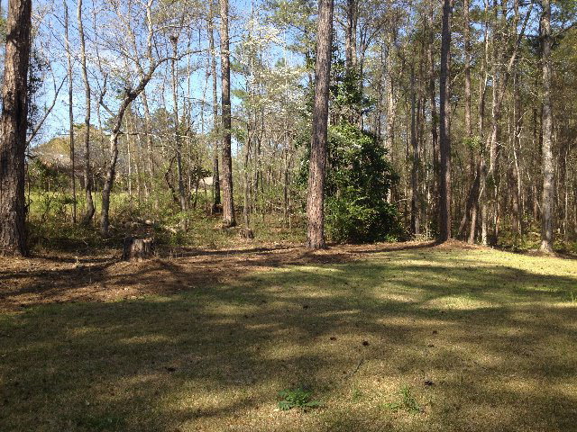 1079 Ashley Hall Road, Unit 102A Macon, GA 31210 - Photo 20 of 21 Additional Photo