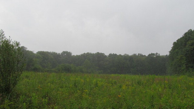 0 Main St Extension Pleasantville, PA 16341 - Photo 1 of 1 a view of a field of grass and trees