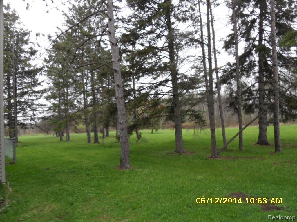 1341 Riley Center Road Memphis, MI 48041 - Photo 28 of 31 side yard.jpg