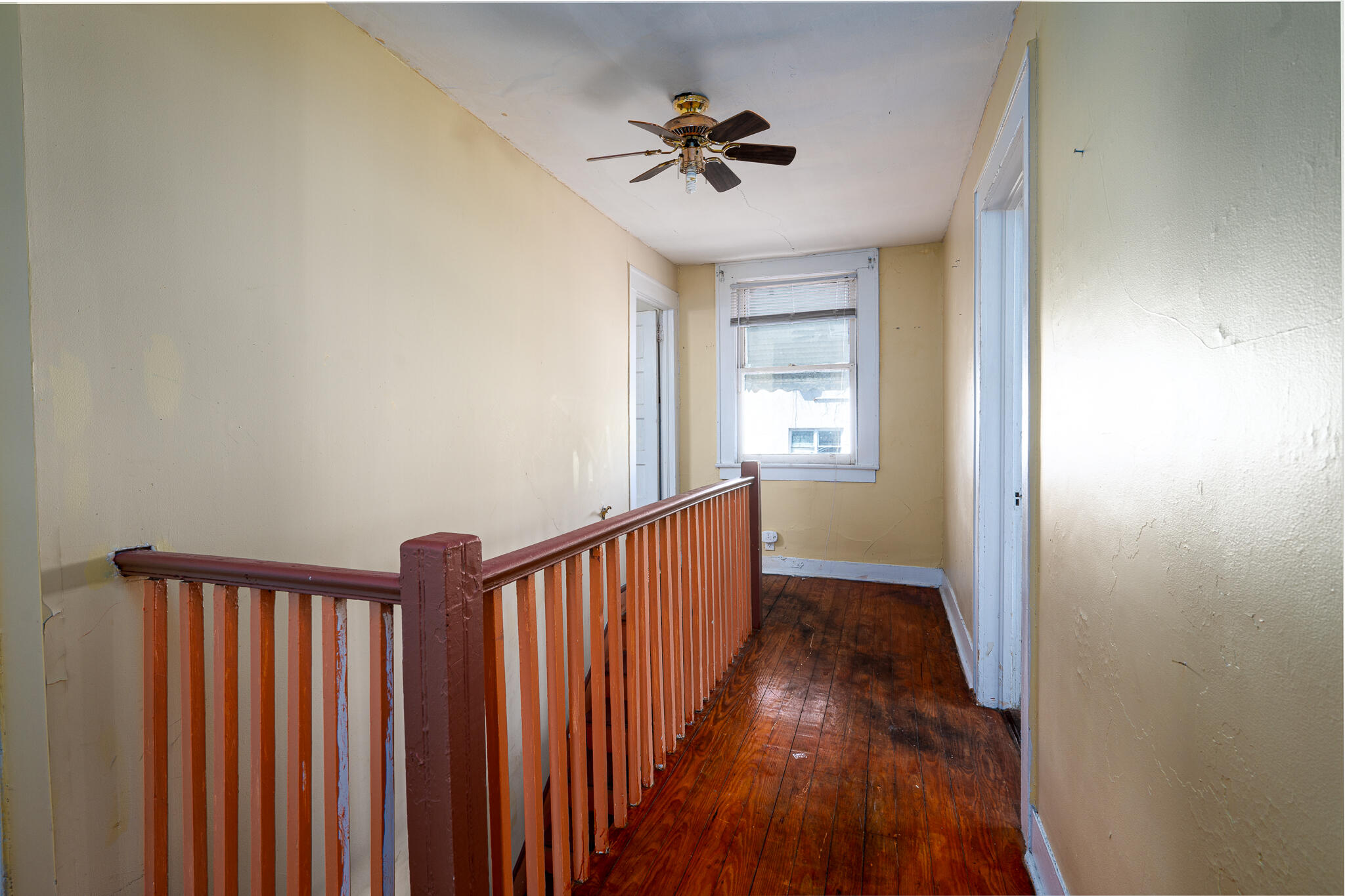 55 Elizabeth Street Charleston, SC 29403 - Photo 22 of 32 MOD_1102-Edit