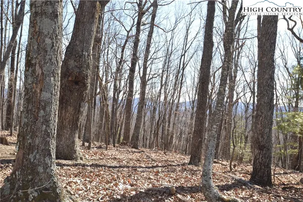 a view of a backyard of the house