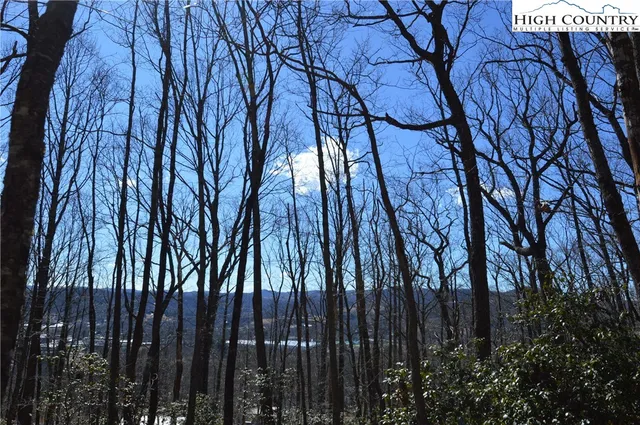 $45,000 | Coleman Drive, Sparta, NC 28675