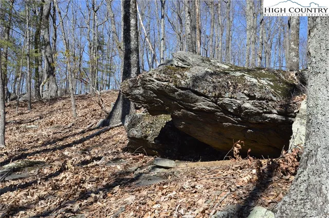 $45,000 | Coleman Drive, Sparta, NC 28675