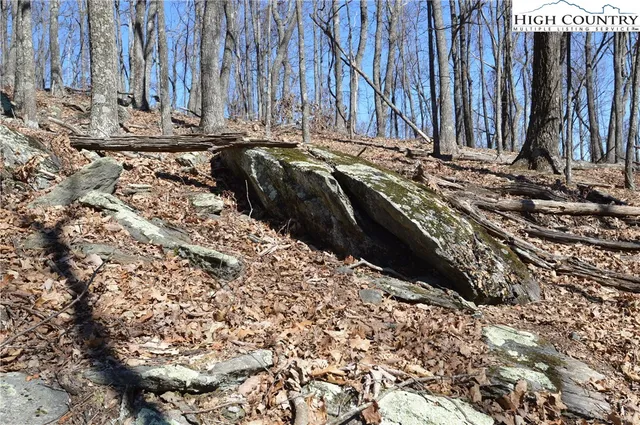 $45,000 | Coleman Drive, Sparta, NC 28675