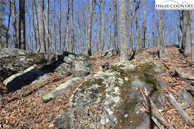 $45,000 | Coleman Drive, Sparta, NC 28675