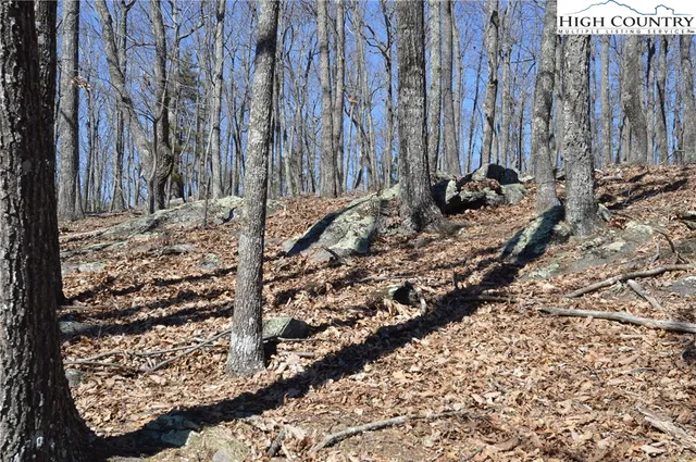 $45,000 | Coleman Drive, Sparta, NC 28675