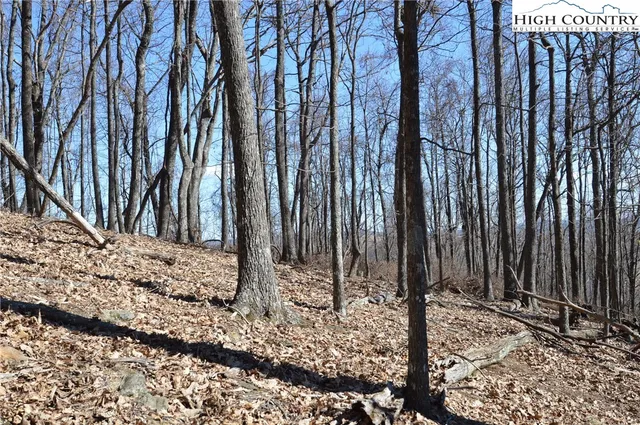 $45,000 | Coleman Drive, Sparta, NC 28675