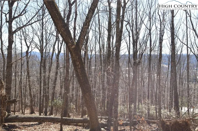 $45,000 | Coleman Drive, Sparta, NC 28675