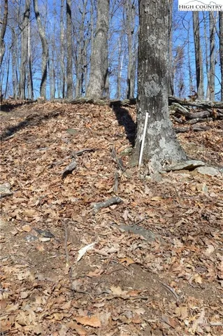 $45,000 | Coleman Drive, Sparta, NC 28675