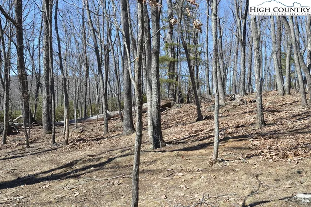 $45,000 | Coleman Drive, Sparta, NC 28675