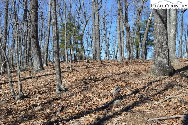 $45,000 | Coleman Drive, Sparta, NC 28675